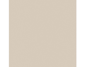 Gạch lát nền 60x60 Viglacera TS5-601
