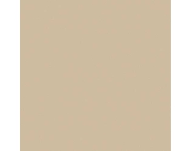 Gạch lát nền 60x60 Viglacera TS5-602