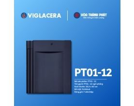 Ngói phẳng Piata Viglacera PT01-12