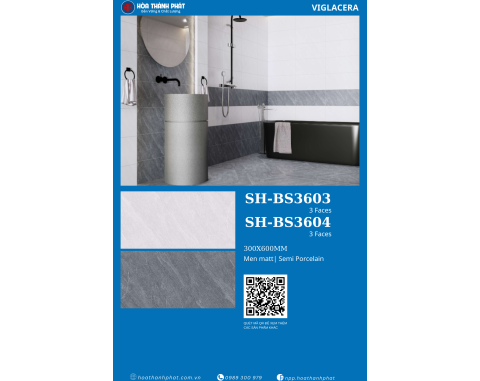 Gạch 30x60 Viglacera BS3603