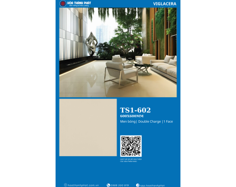 Gạch lát nền 60x60 Viglacera TS5-602