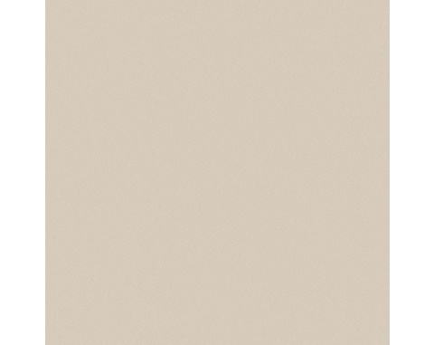 Gạch lát nền 60x60 Viglacera TS5-601