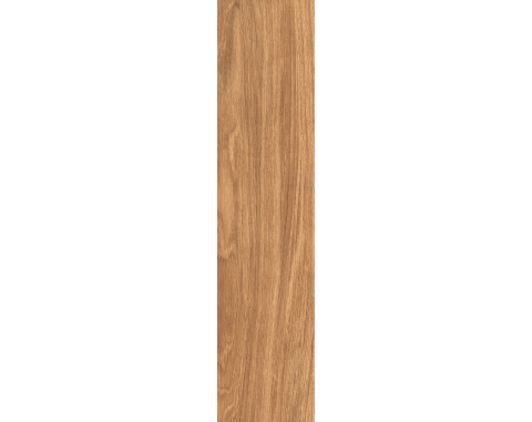 Gạch lát nền giả gỗ 20x100 Viglacera GC21066