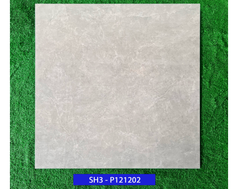 Gạch lát nền 120x120 Viglacera SH3-P121202