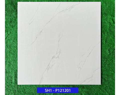 Gạch lát nền 120x120 Viglacera SH1-P121201