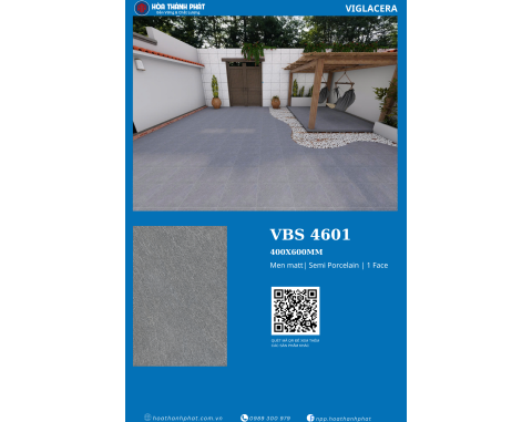 Gạch 40x60 Viglacera VBS4601