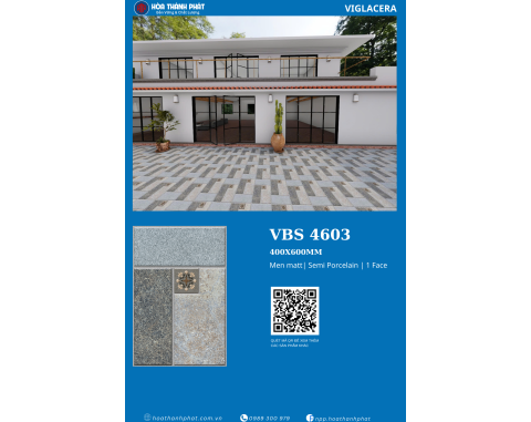 Gạch 40x60 Viglacera VBS4603