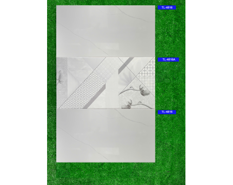 Gạch 40x80 Viglacera TL4816A