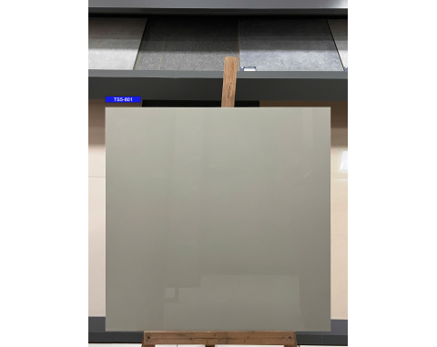 Gạch lát nền 80x80 Viglacera TS5-801