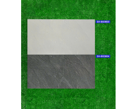 Gạch 30x60 Viglacera BS3603