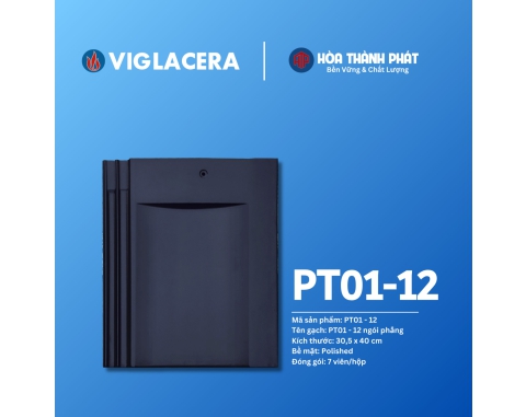 Ngói phẳng Piata Viglacera PT01-12