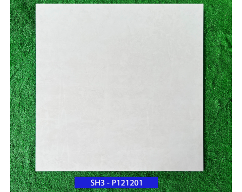 Gạch lát nền 120x120 Viglacera SH3-P121201