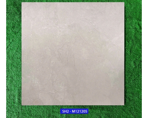 Gạch lát nền 120x120 Viglacera SH2-M121205