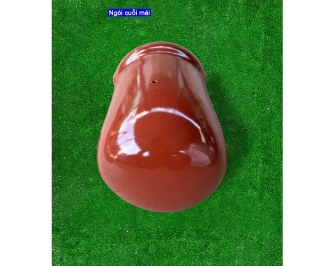 Ngói sóng tráng men Viglacera S09D