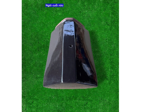 Ngói phẳng tráng men Viglacera T03