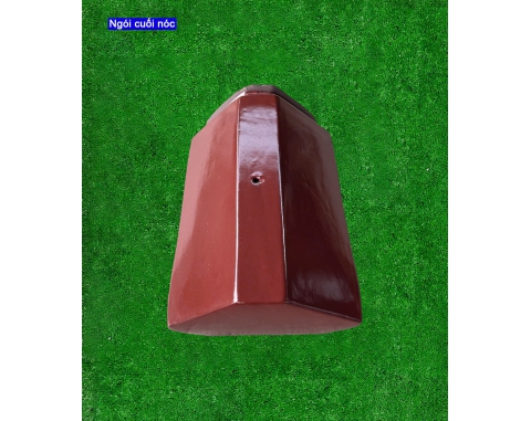 Ngói phẳng tráng men Viglacera T08 